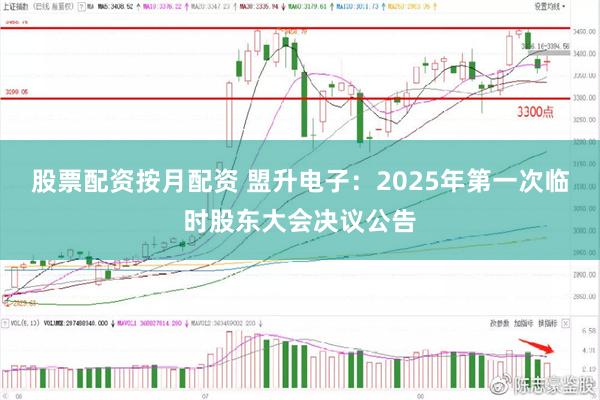 股票配资按月配资 盟升电子：2025年第一次临时股东大会决议公告