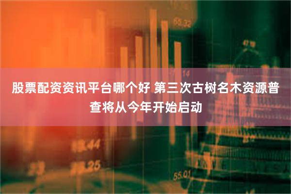 股票配资资讯平台哪个好 第三次古树名木资源普查将从今年开始启动