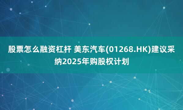 股票怎么融资杠杆 美东汽车(01268.HK)建议采纳2025年购股权计划