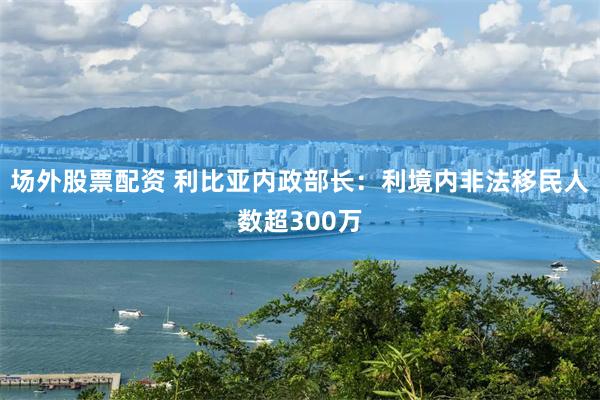 场外股票配资 利比亚内政部长：利境内非法移民人数超300万