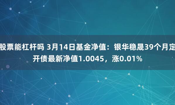 股票能杠杆吗 3月14日基金净值：银华稳晟39个月定开债最新净值1.0045，涨0.01%