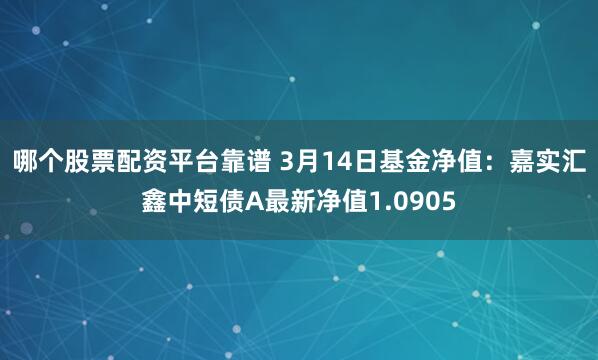 哪个股票配资平台靠谱 3月14日基金净值：嘉实汇鑫中短债A最新净值1.0905